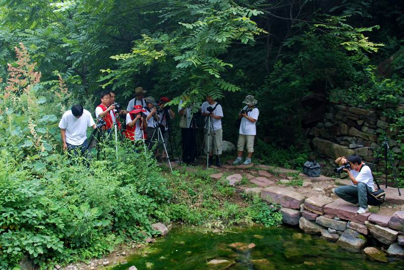 天平山采风花絮