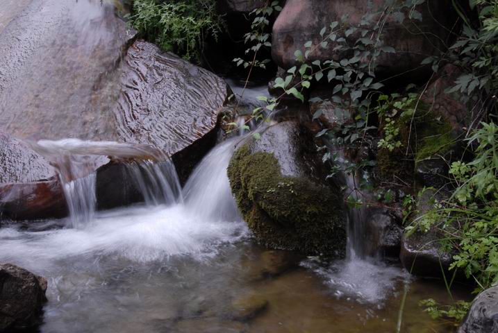 天平山的水和山