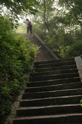 游天平山