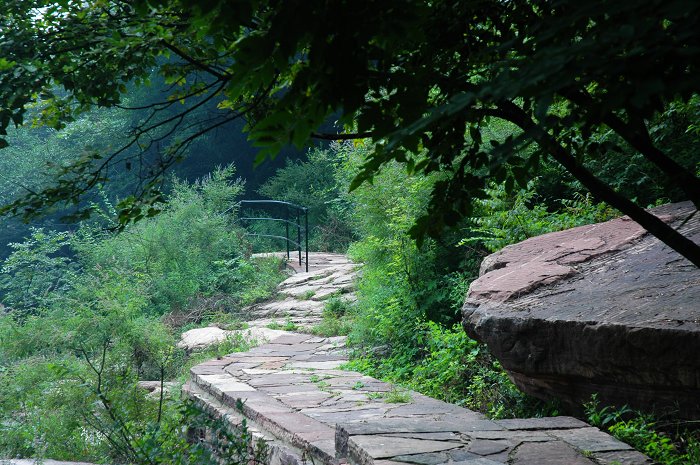 山路弯弯