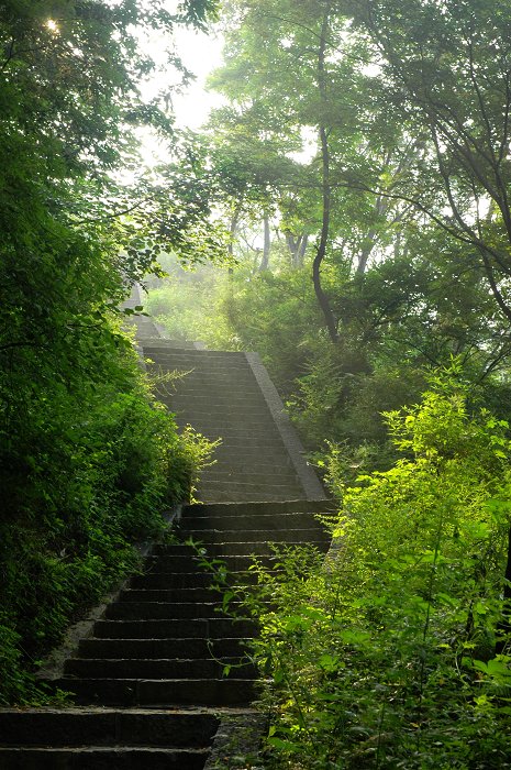 山路弯弯