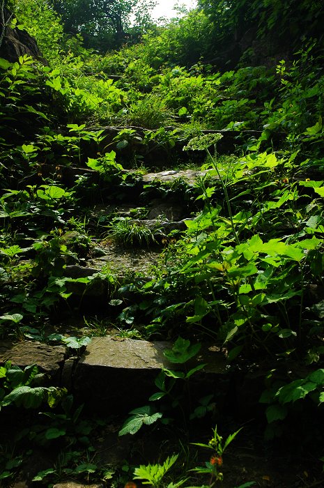 山路弯弯