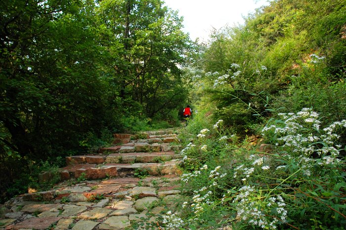 山路弯弯