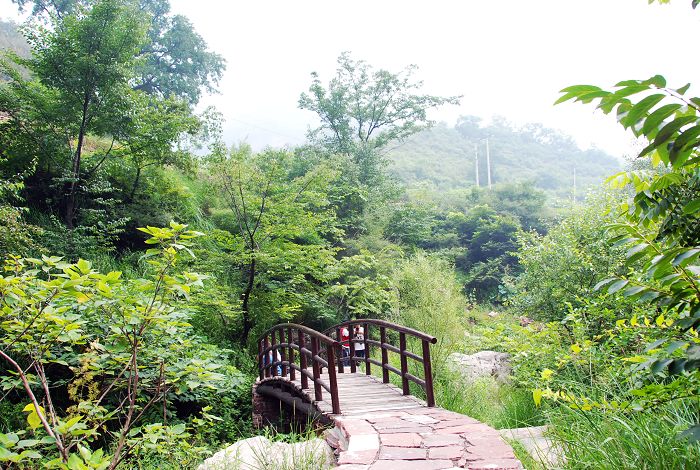 太平山美，水更美！！