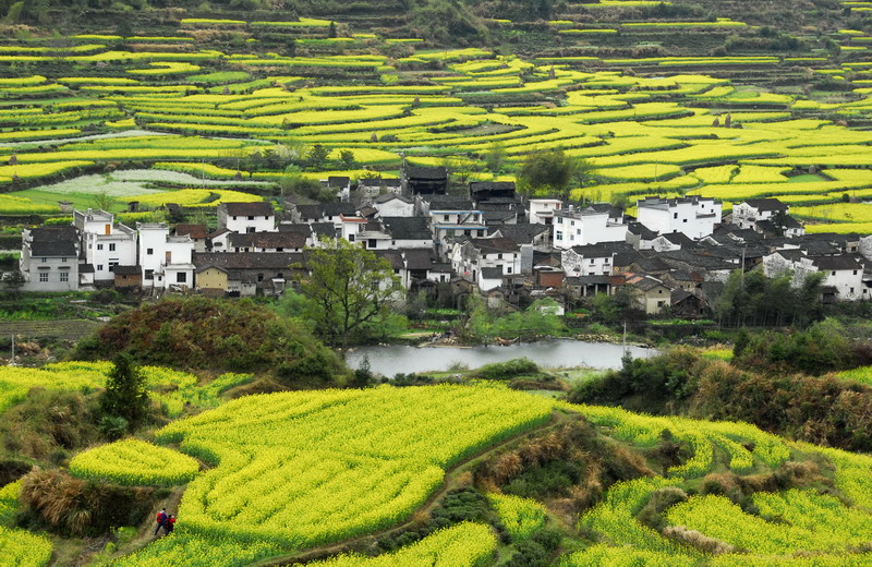田园诗画