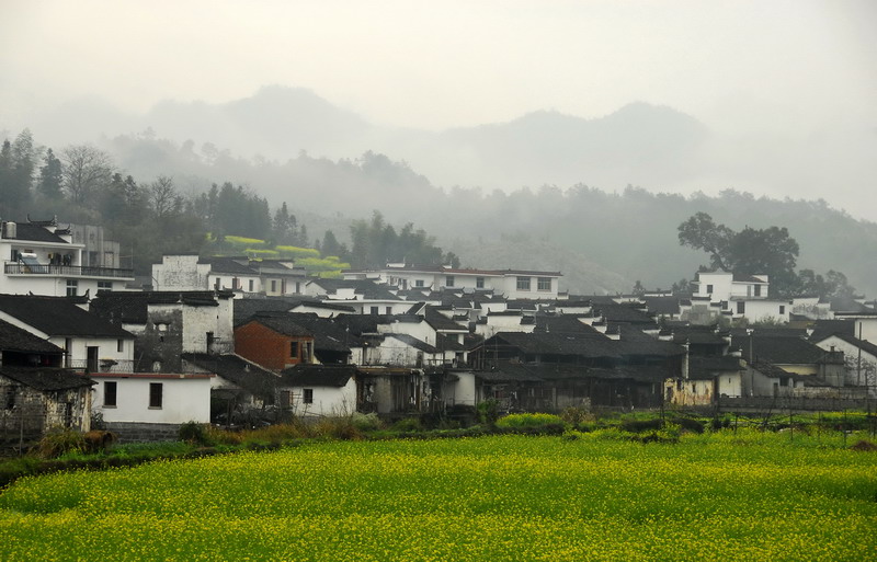 田园诗画