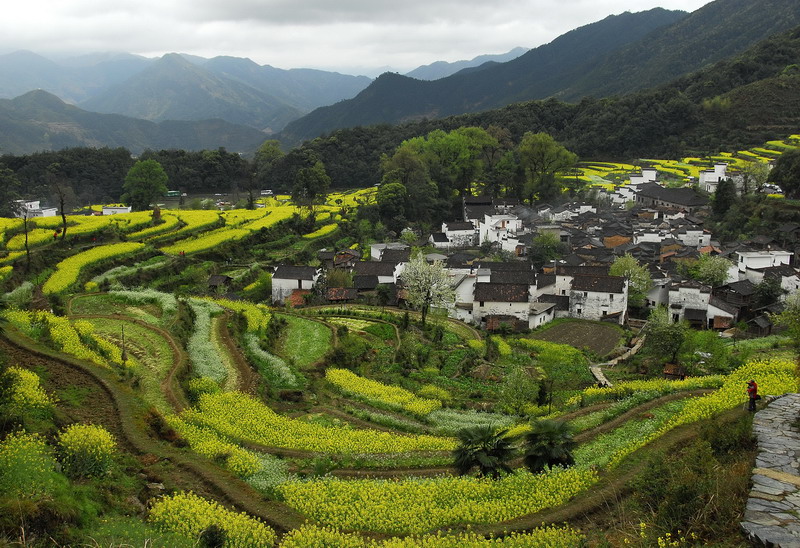 田园诗画