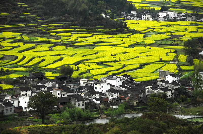 田园诗画