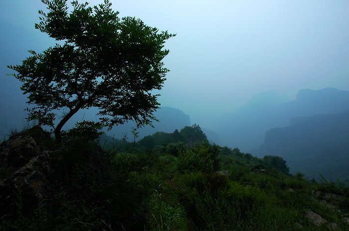 [聚焦天平山]树和亭