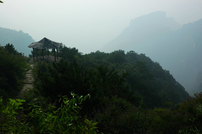 [聚焦天平山]树和亭