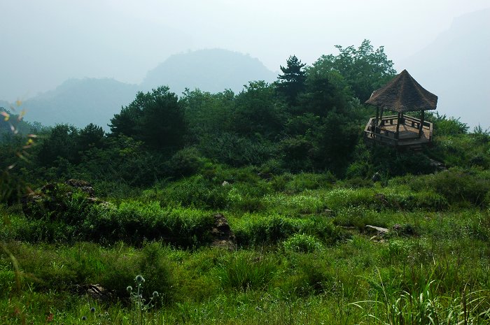 [聚焦天平山]树和亭