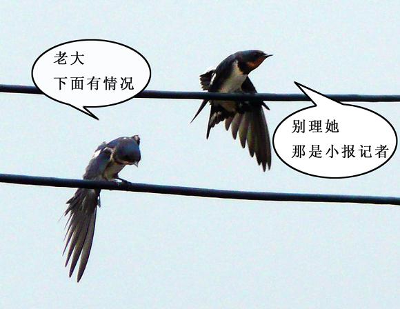 燕之语
