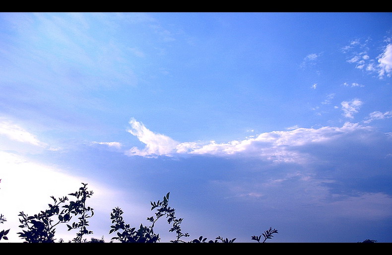 [原创]...雨后观云
