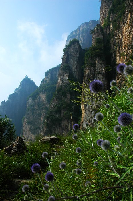 [聚焦天平山]远山巍巍