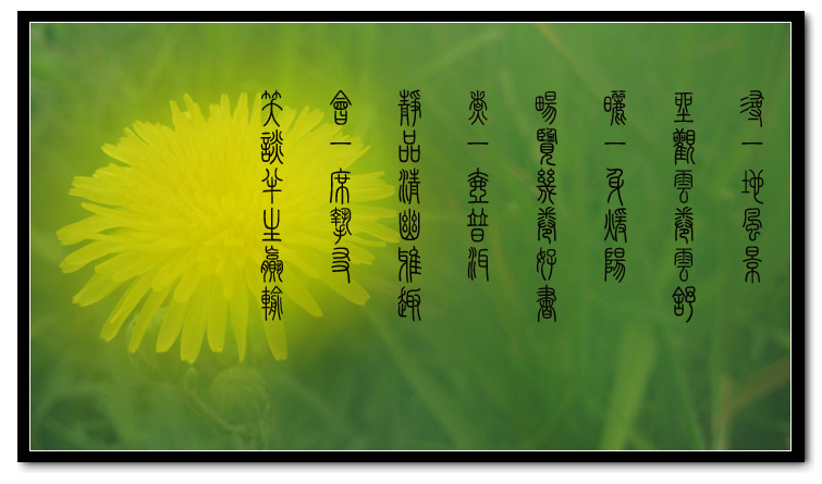 昆虫微距（G9）