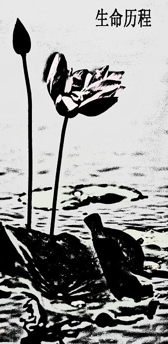 荷