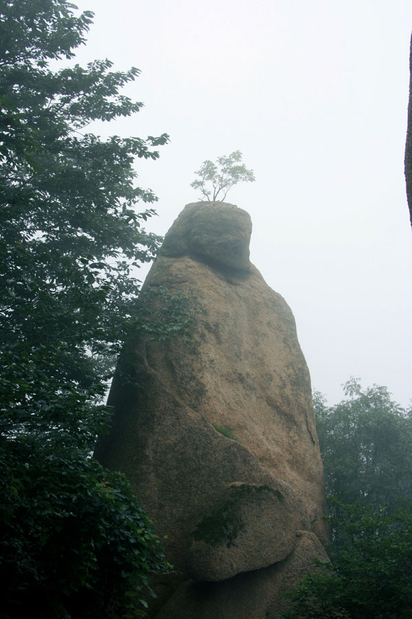 嵖岈山小景