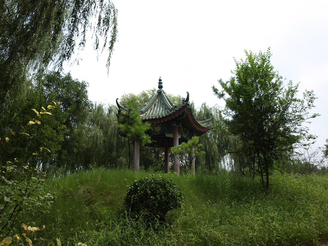 家园小景