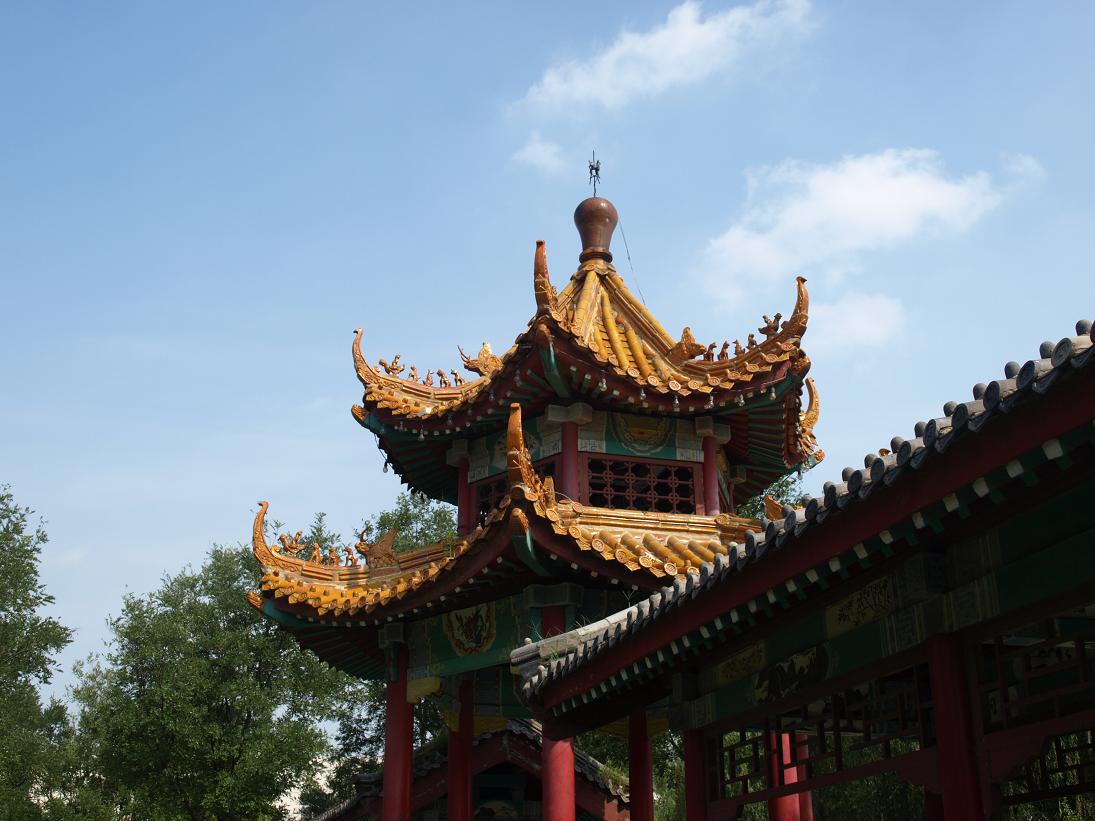 家园小景