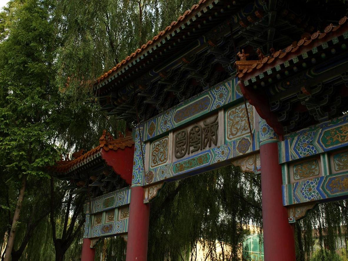 家园小景