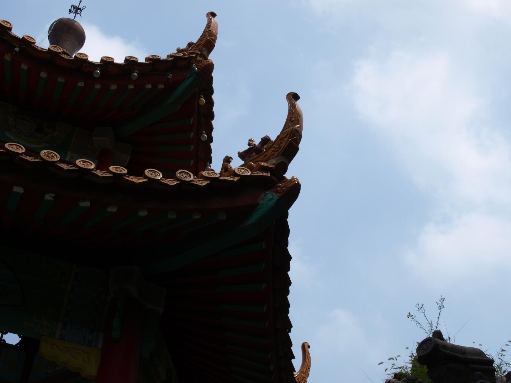 家园小景