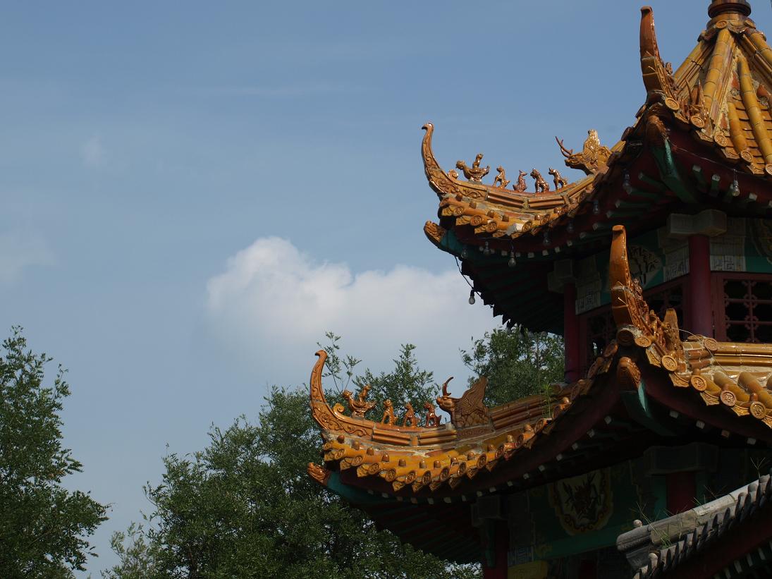 家园小景