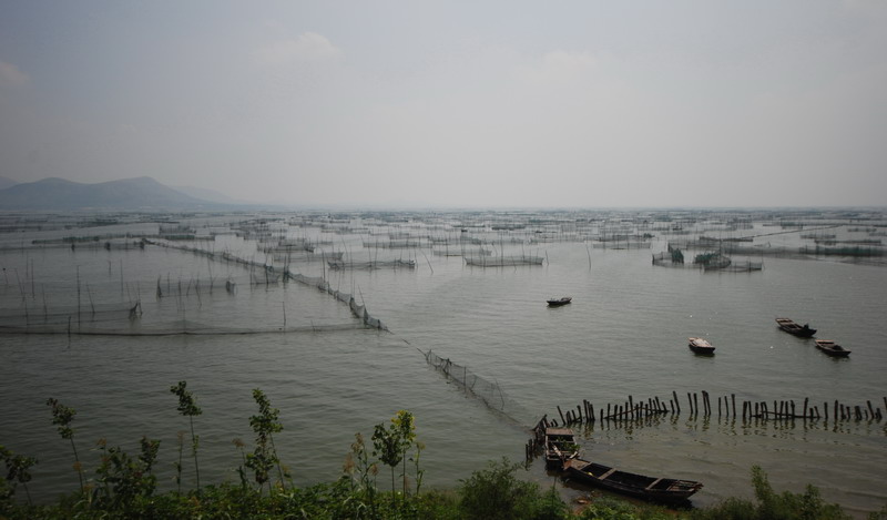 再拍东平湖