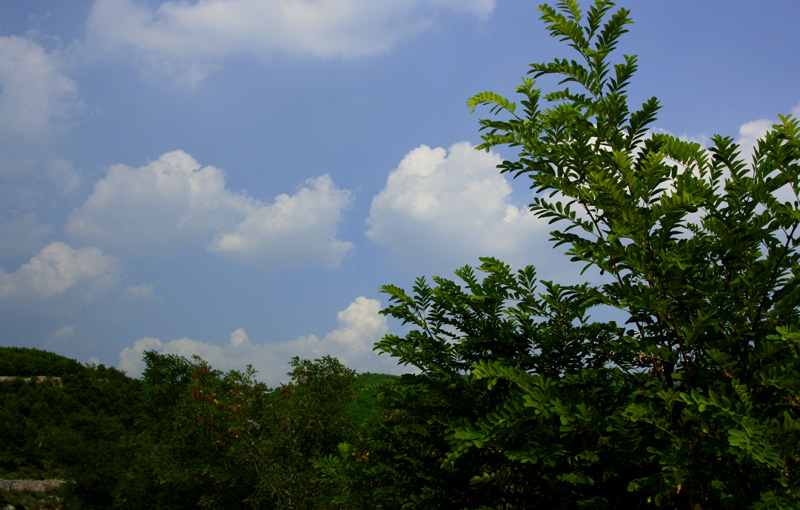 山西丘岭风光