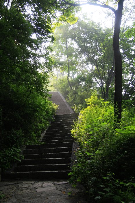 天平山拾零