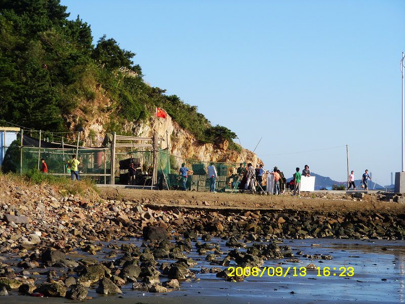 来俺山东拍天鹅