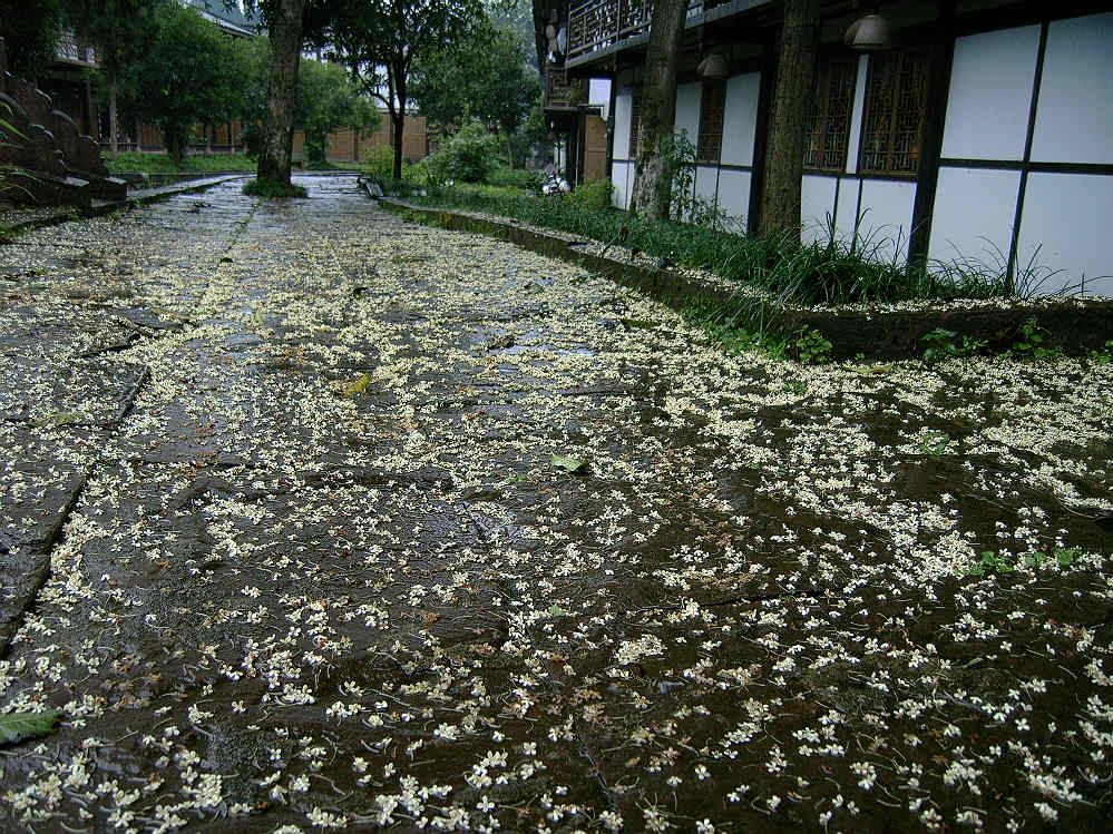 品味四川（雅安上里古镇一组）