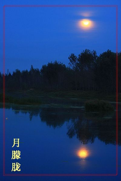月上柳树悄
