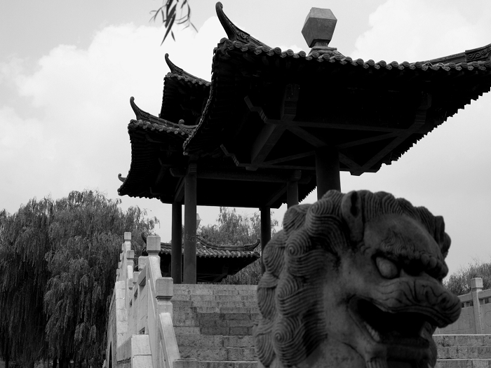 新蕾公园摄影讨论区，有新蕾公园图片的请进