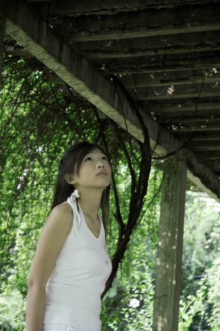藤下的女孩儿