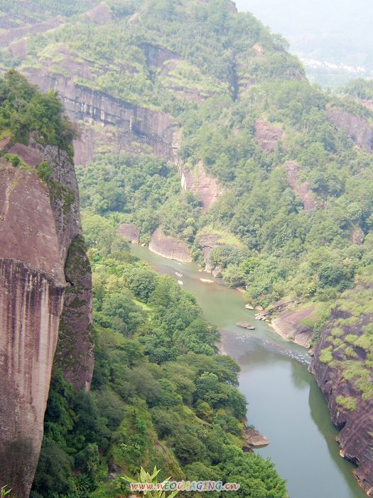 武夷山的山水