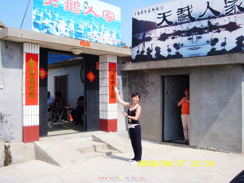 来俺山东拍天鹅