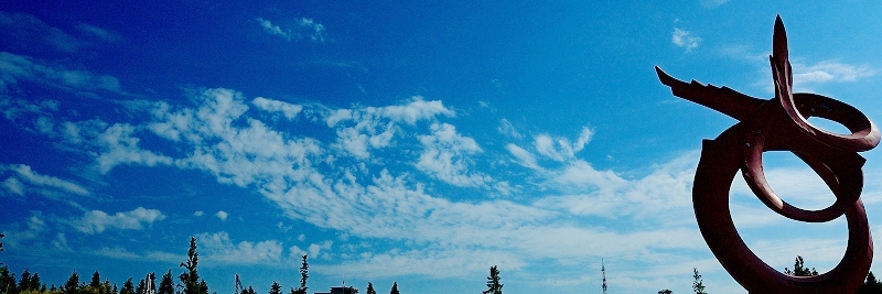 飞龙在天