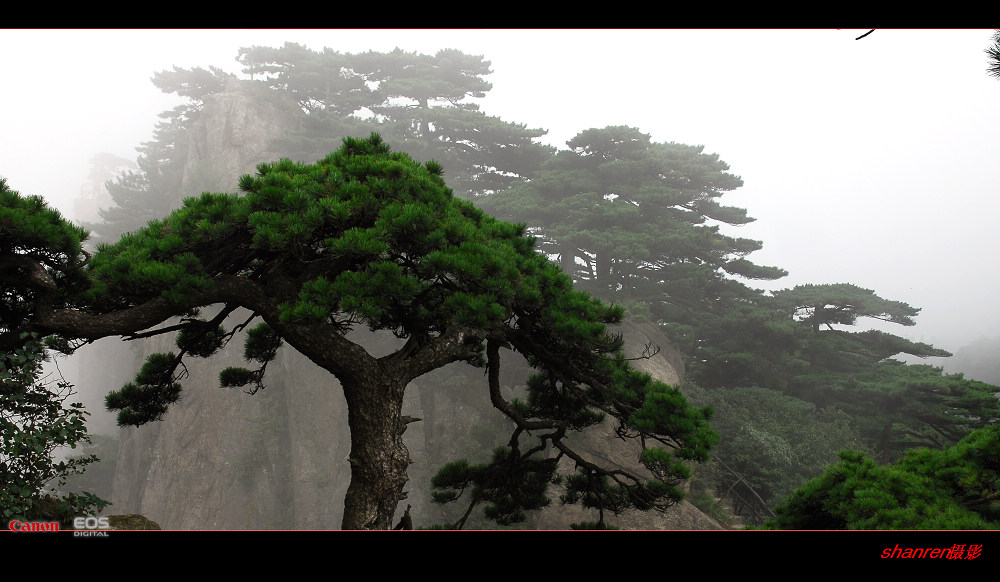 [原创]黄山风光