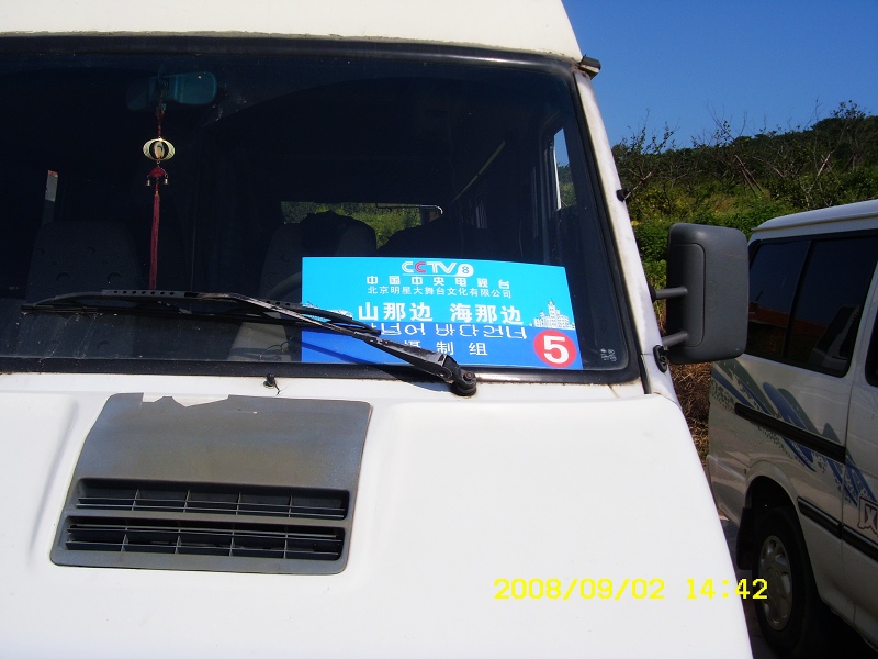 来俺山东拍天鹅