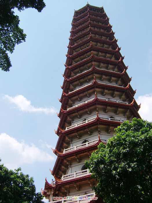 武夷山的山水