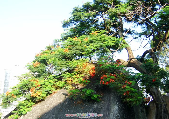 武夷山的山水