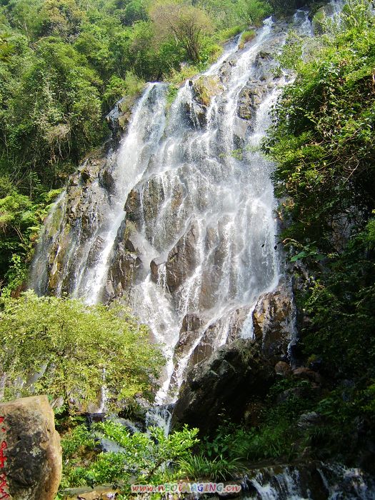 武夷山的山水