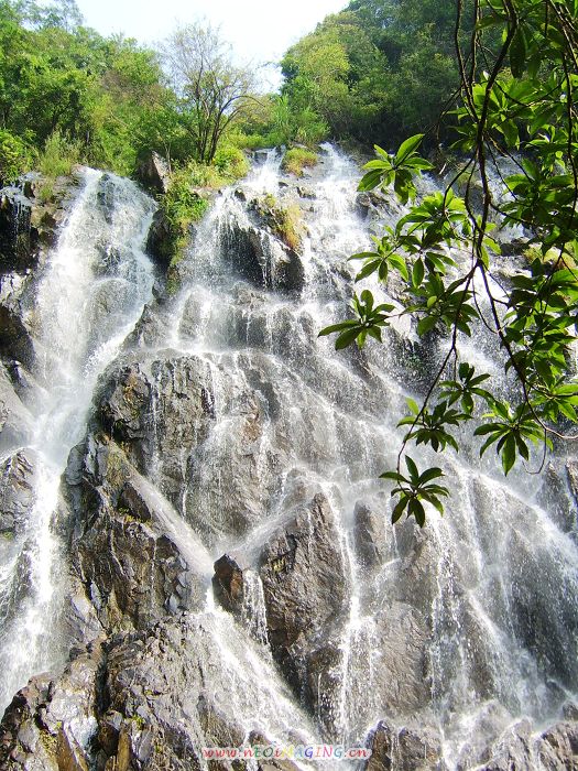 武夷山的山水