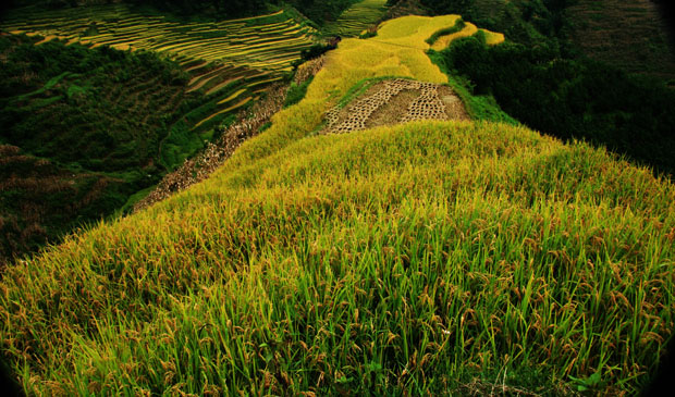 山里的景色