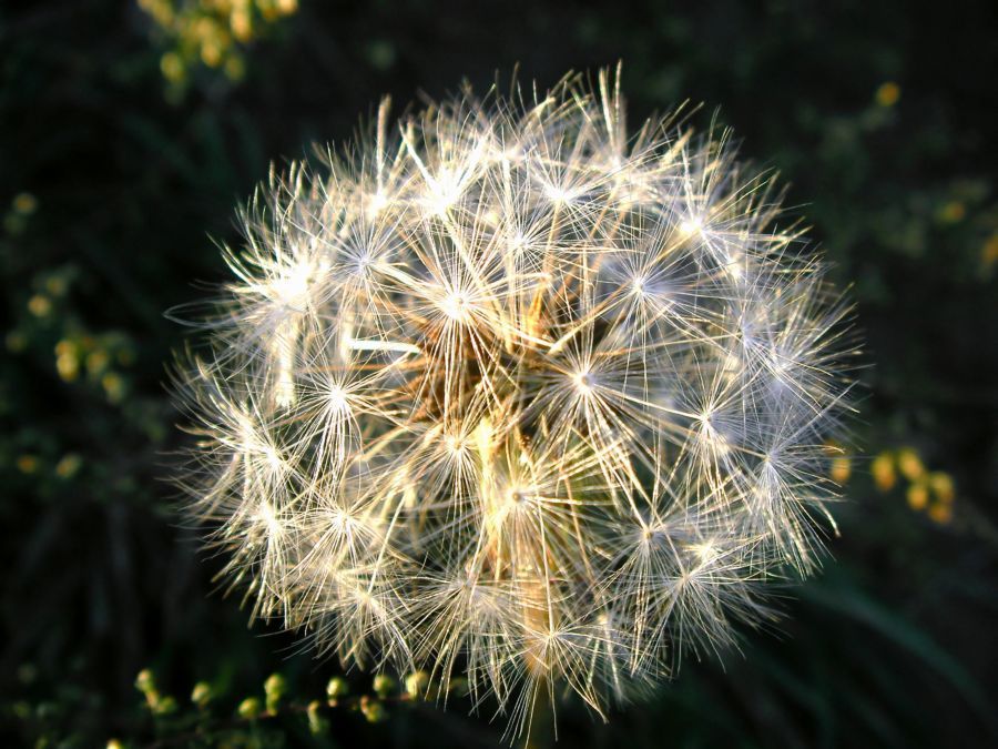 秋收的季节
