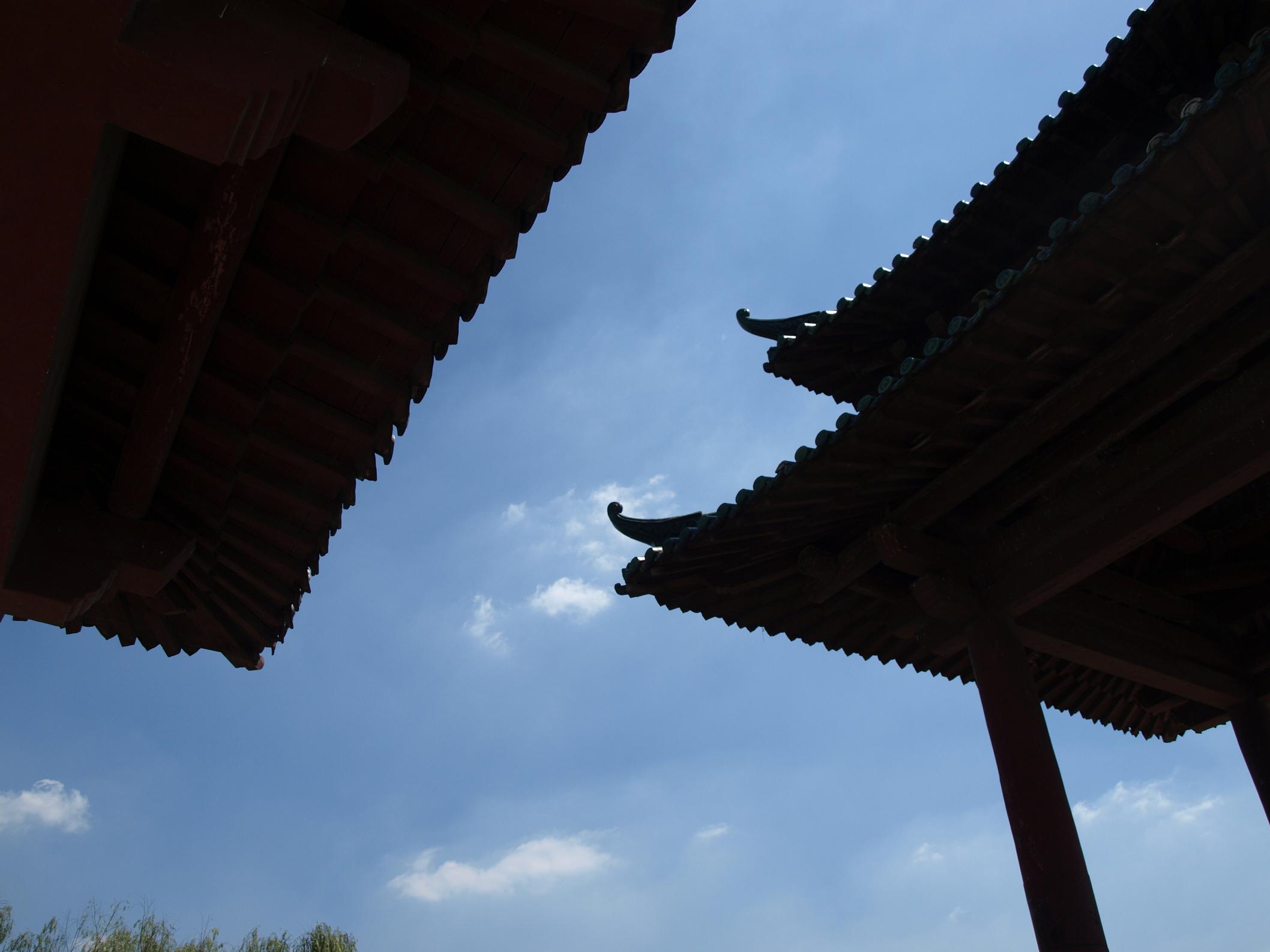 新蕾公园摄影讨论区，有新蕾公园图片的请进