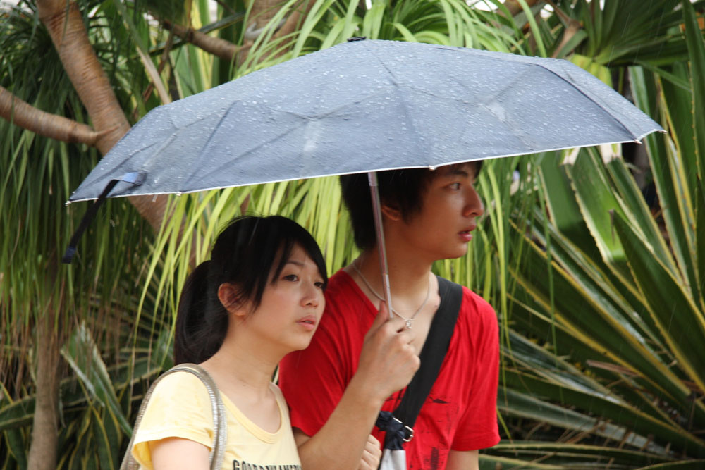 雨中即景