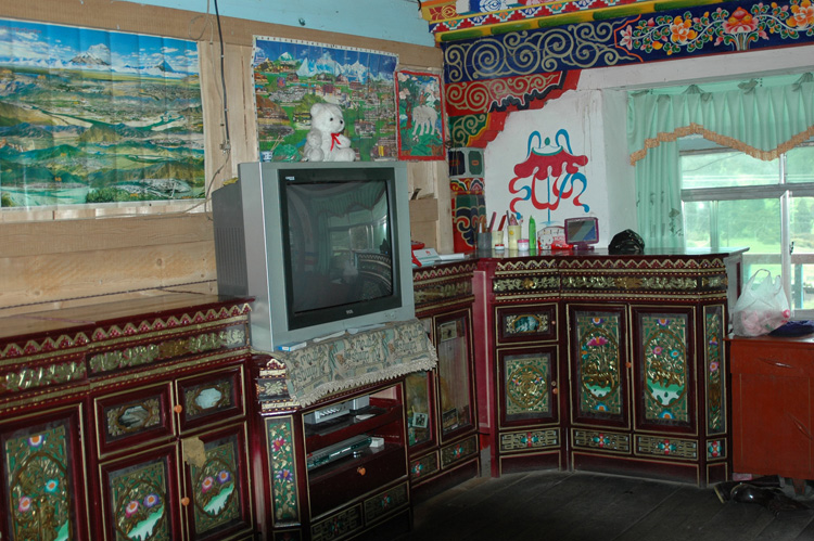走进藏民家（车到林芝朗木林村）.JPG