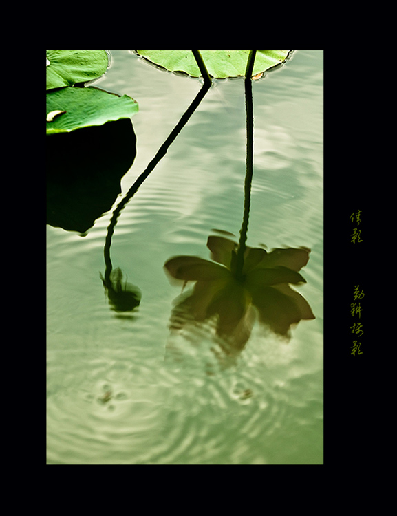 倩影