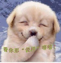 搞笑帖全集
